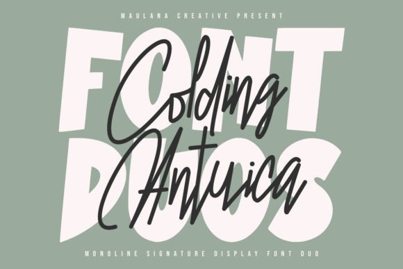 Colding Antuica: The Brush Font Duo for Authentic Campaign Branding