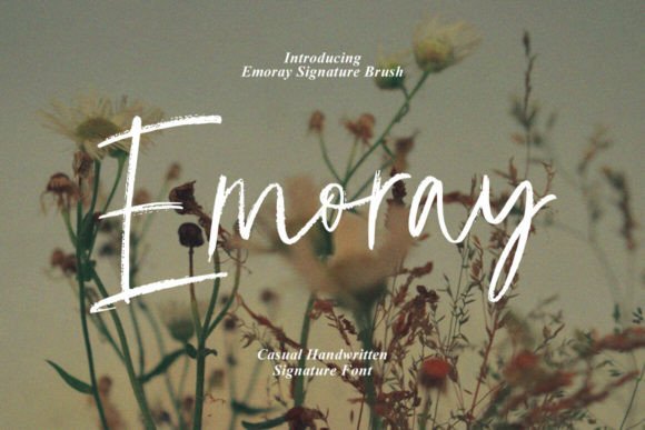 Emoray Typeface: Elevate Campaign Visuals with Signature Script Style