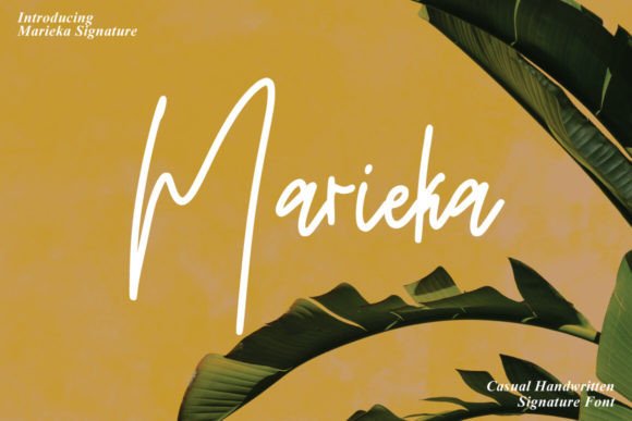 Marieka: Elevating Web Design with Handmade Script Typography