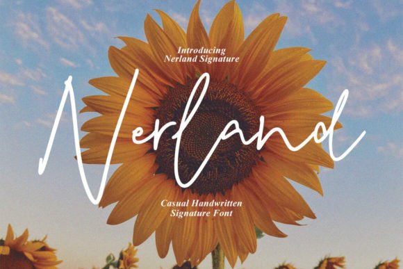 Nerland: A Script Amp Typeface for Campaign Visuals