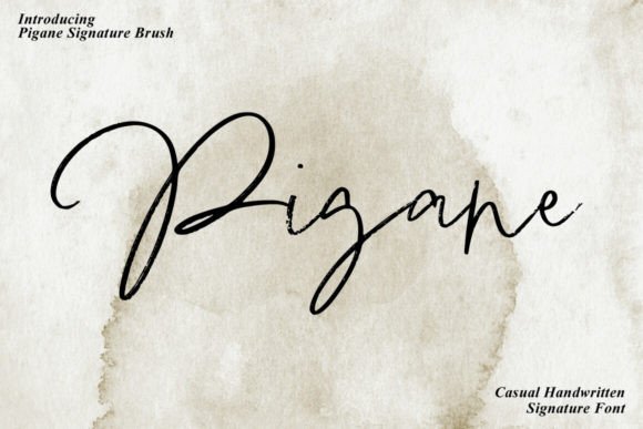 Pigane Typeface: Elevate Handmade Branding with Script Amp’s Charm