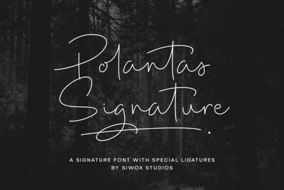 Polantas Signature: The Handwritten Typeface for Your Brand