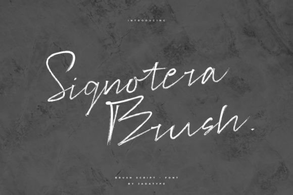 Signotera Brush: The Script Font That Elevates Digital Brand Experiences